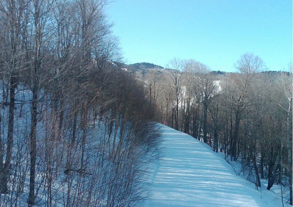 Ski In/Out Trailside Townhome Killington Esterno foto